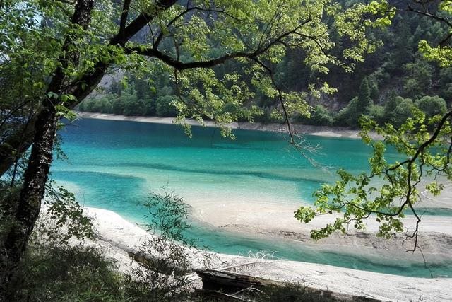 紫微十四主星2022年运势，2022紫微斗数运势