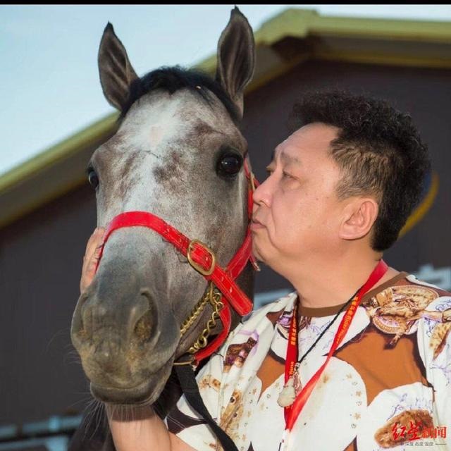 去朋友马场跟马做过，马的几把为什么那么长