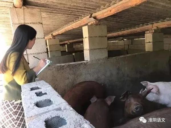 2年男猴和95年猪女相配不，90马男和95猪女"