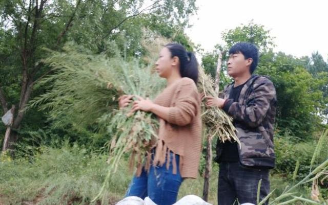 6年龙45岁后遇真爱离婚,67年羊人2022