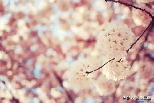 6年的龙男2022年的运势，1976年属龙45岁后的财运"