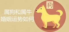 算命免费2022年运程狗，属狗2022 下半年桃花运势