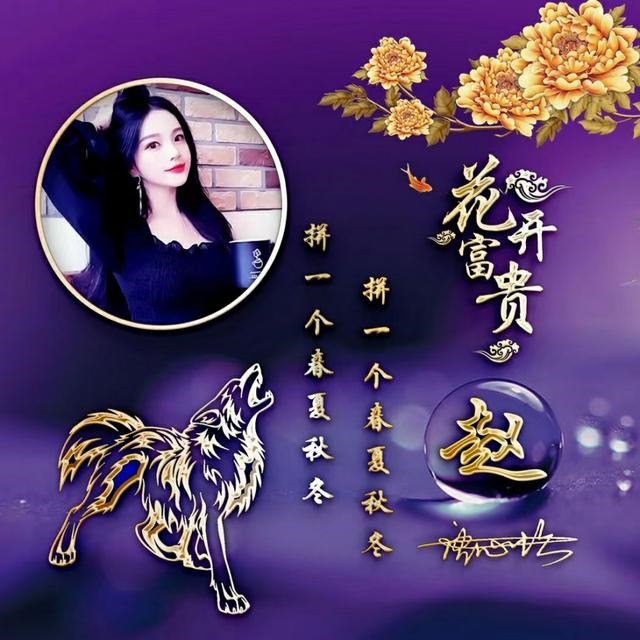 十二生肖图片大全12张头像，十二生肖图片高清大图