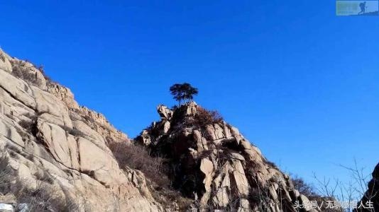 属青龙的是哪一年出生的，青龙年是什么意思