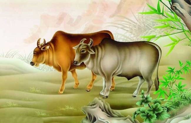 973年属牛人的全年运势，73年牛人2022