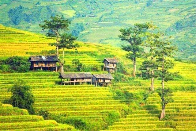 属鼠女什么时辰最差，女怕午时辰什么意思