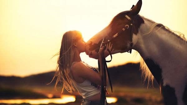十二生肖的五行配对表，12生肖与五行相生相克表