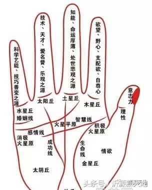 最准的算命大师免费，老黄历算命最准的