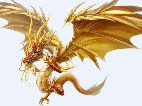 属龙男配什么生肖女，00龙男配什么生肖更好