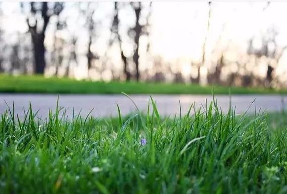 9岁属蛇的是什么命，1969年生属鸡男感情运"