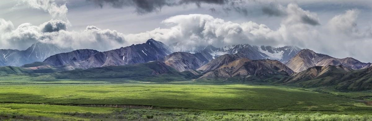 022年整体运势测算，2022年运势12生肖运势"