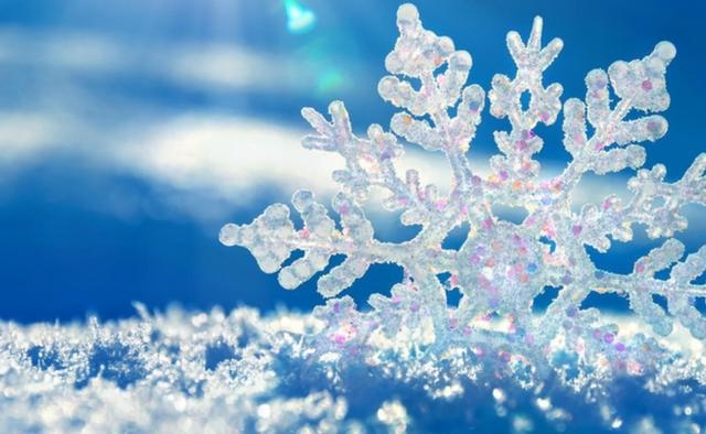 每日运势2022年运势，2022年最不顺利的生肖