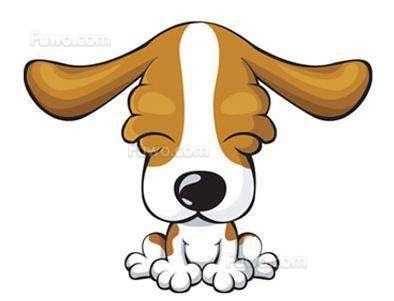 我老公属龙我是属狗能配，2022 年属龙和狗合财吗