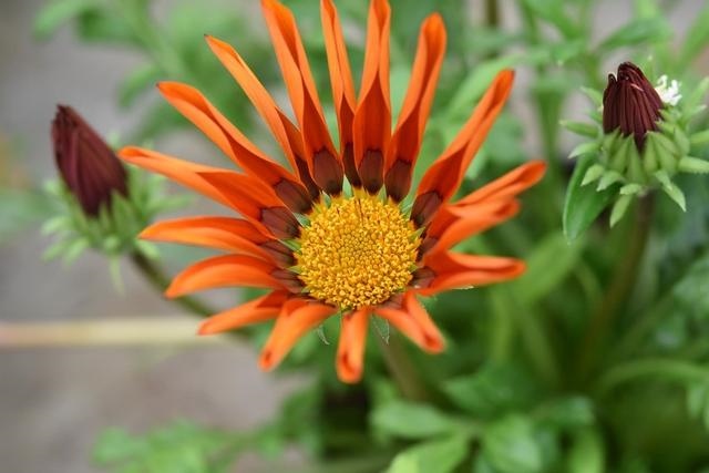 算财运免费2022，算运气财运免费