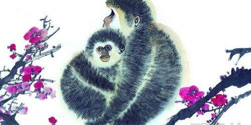 0年属猴41岁以后的一生命运，1980年属猴男一生命运"