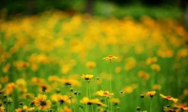 属蛇女32岁2022年好不好，属蛇人虎年运势2022