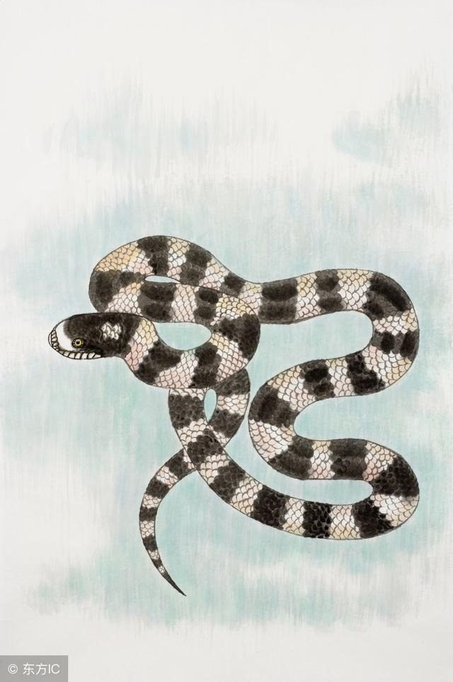 属蛇几月出生最不好命，属蛇的几月出生更好命