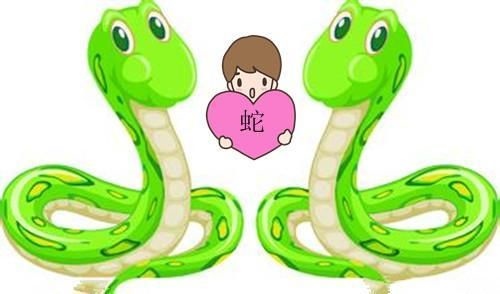 属蛇人出生月份运势，2022 年属蛇每月运程