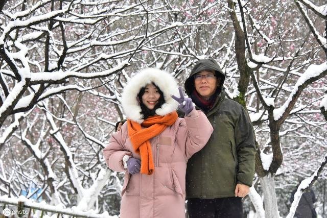 2年狗和82年狗相配婚姻如何，1982年属狗2022