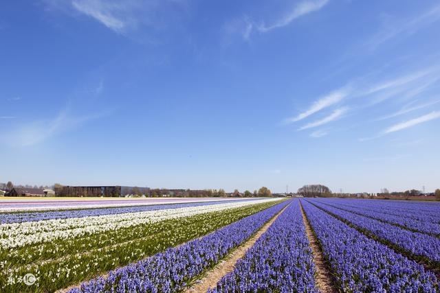岁属龙是什么命，9岁的龙是哪一年"