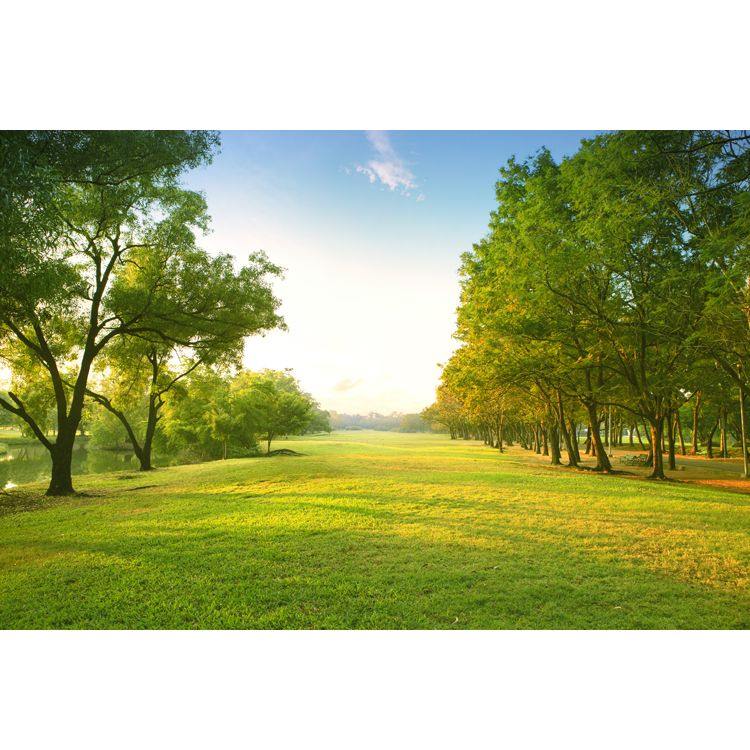 022年属蛇哪个月适合结婚，2022年虎年哪个月份出生的宝宝更好"