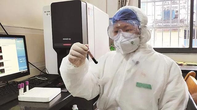 几月出生的属蛇人最笨，属狗的几月出生更好