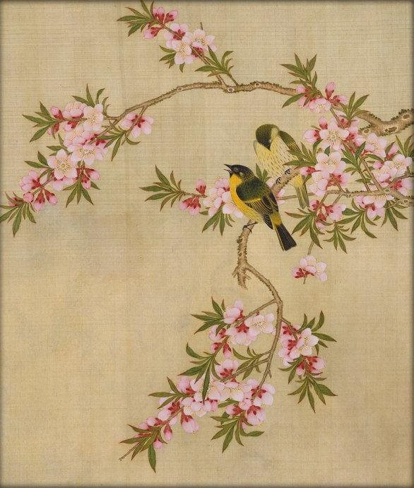 2猴男和97牛女姻缘，牛女和猴男属相合不合"