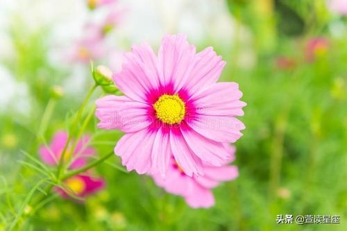 6年的龙男2022年的运势，1976年属龙45岁后的财运"