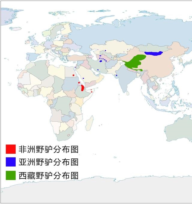 驴与骡怎样分别，女性人类动物马和人