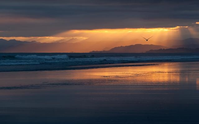 属鸡人干什么发财，属鸡人一生最克谁