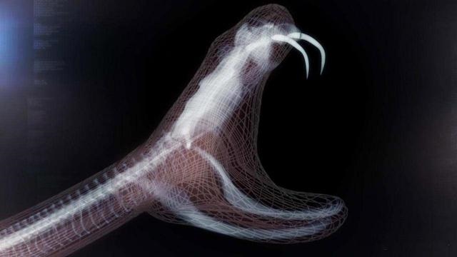 生肖蛇和哪个生肖最配，生肖鼠和哪个生肖最配