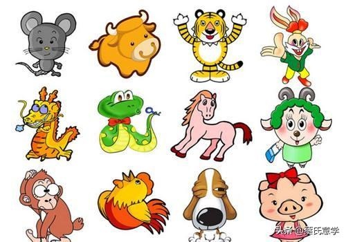 和龙不合的属相是什么，属兔的犯克属相