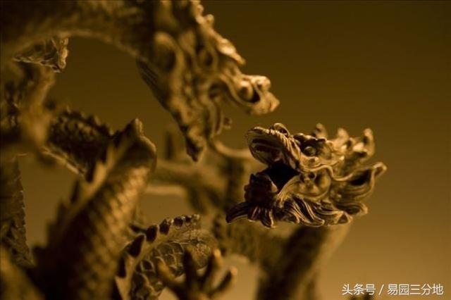 龙年巳时出生的女孩命运如何,猪年富贵好命女孩名字