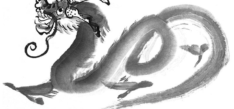 6岁属龙是哪年出生的，1976年龙的2022