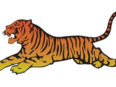 8年属龙的女生是什么性格的人,土龙命五行缺什么"