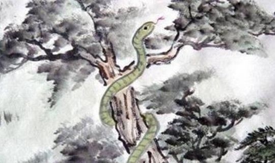 属蛇正月出生的命运，属蛇正月出生是什么命