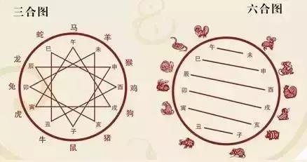 龙跟猪属相合不合财，属龙和属猪的相冲吗