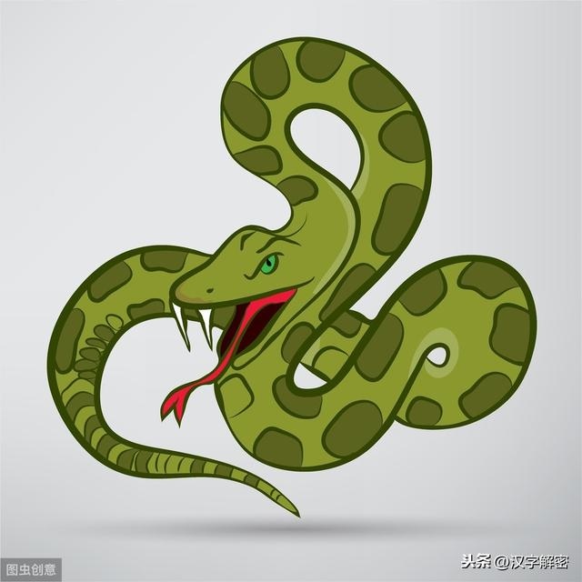 属蛇的生肖是多少年出生，生肖属蛇的出生年份