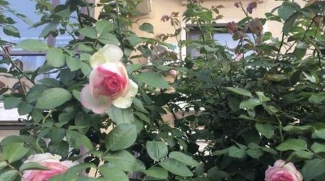 022年虎女宝宝的名字带梓,2022年几月出生的虎宝宝更好"