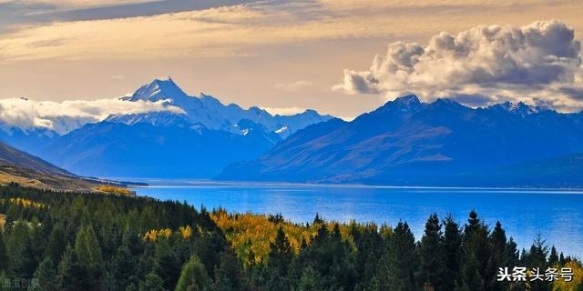 属龙的十一月出生好吗，属龙阴历十一月出生好吗