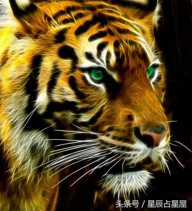 022年农历八月虎宝宝，2022年虎的孩子避开几月份"