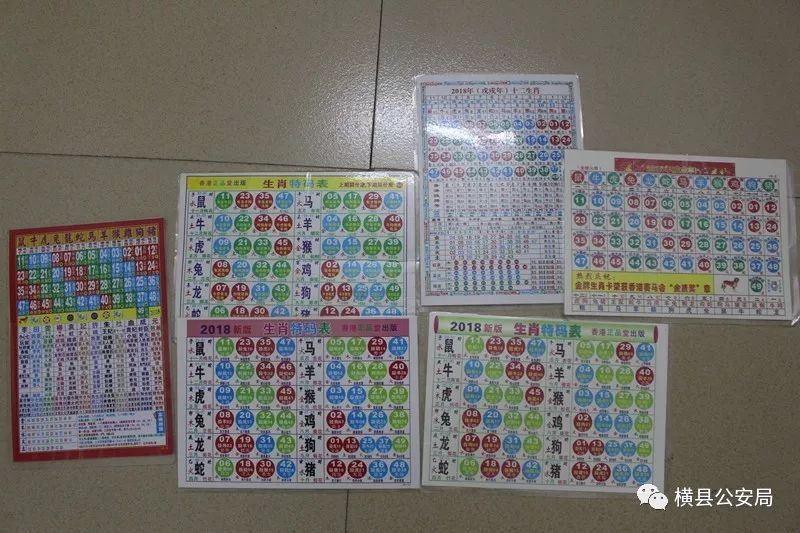 最新生肖表排码表图新版，2022 生肖号码表正版图