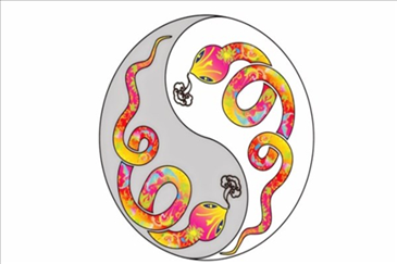 月属蛇的人命运如何，属蛇的阴历九月出生好吗"