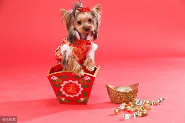 属鼠的和龙的相配吗，属龙和属鼠的婚配怎么样