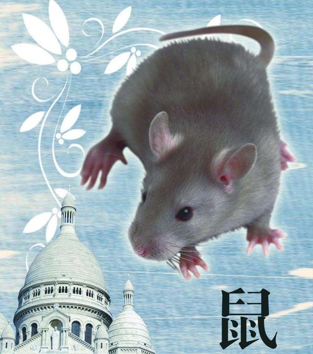 941年蛇在2022会不会死,41年属蛇还能活几年"