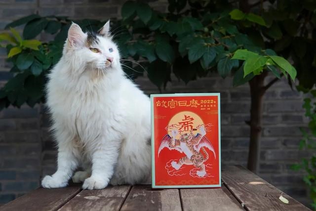 022正版看图找生肖,十二生肖年份表2022年"