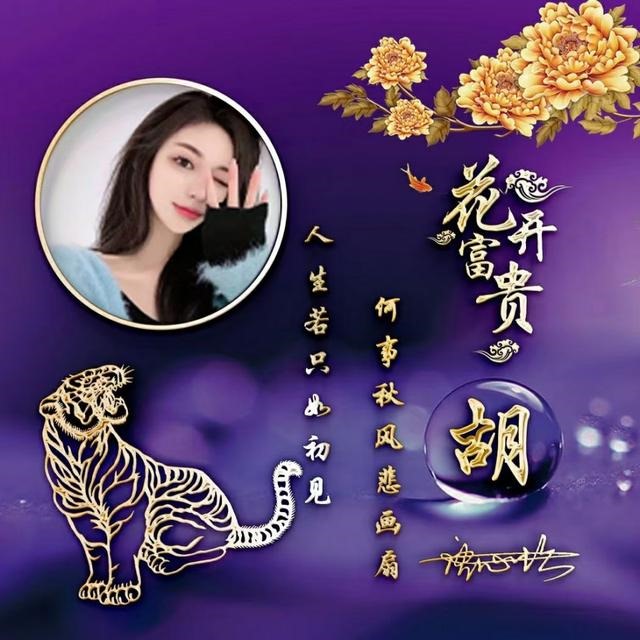 十二生肖图片大全12张头像，十二生肖图片高清大图