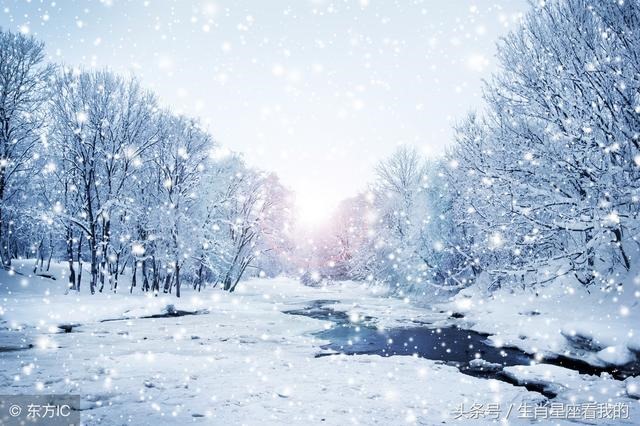 属虎5月出生的命运，虎年六月出生的孩子更好命