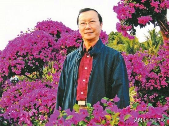 0岁的牛是哪一年,牛怎么样看几岁了"