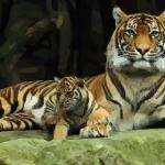 6岁属虎人2022年运势，86年虎2022年适合做生意吗"